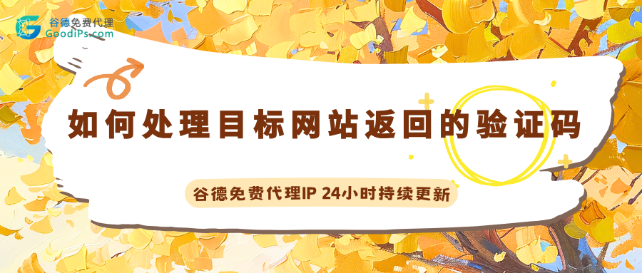 如何处理目标网站返回的验证码