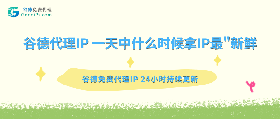 谷德代理IP 24小时更新频率实测：一天中什么时候拿IP最